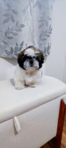 Foto do cliente